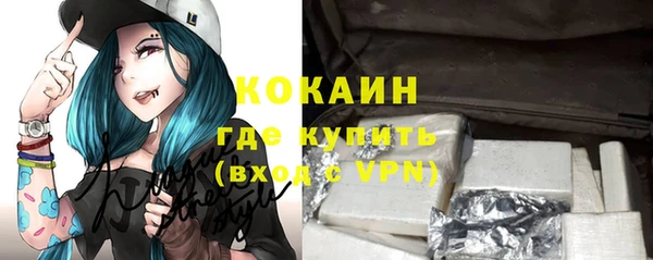 спиды Пересвет