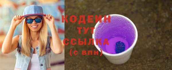 спиды Пересвет