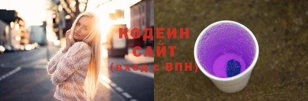 спиды Пересвет
