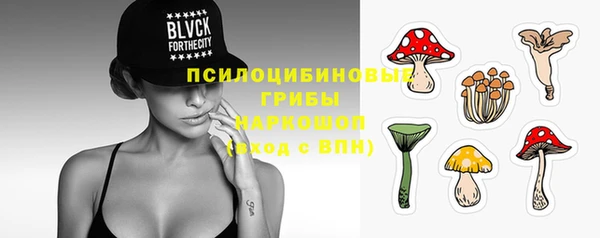 СК Пестово