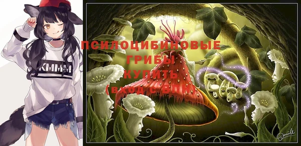 спиды Пересвет