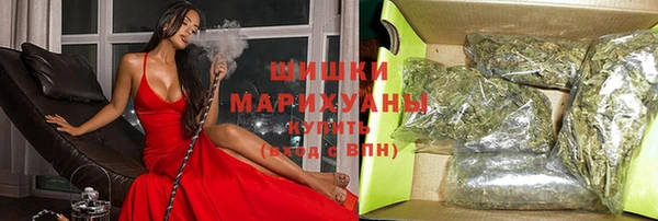 спиды Пересвет