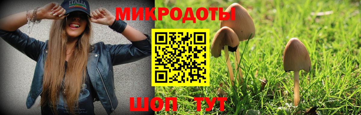 Псилоцибиновые грибы MAGIC MUSHROOMS  Вход с VPN  Североуральск 
